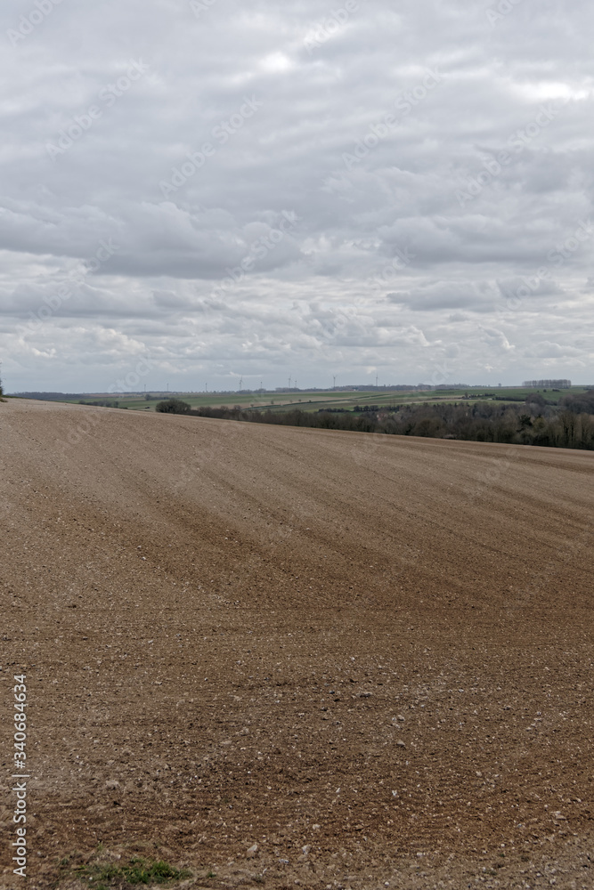 Fototapeta premium Champs et culture à perte de vue dans le département du Pas-de-Calais - France