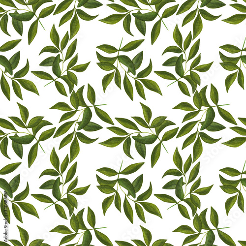 Watercolor illustration. Seamless pattern with hand drawn branch with leaves on white background. 