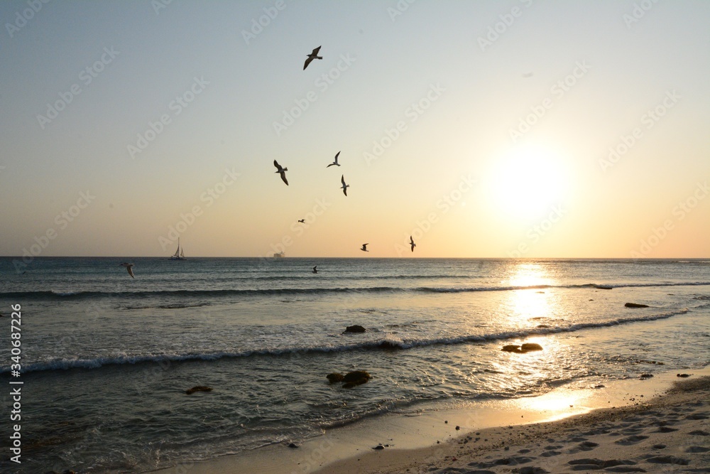 Silhouette Birds Flying Over Sea Against Sky During Sunset