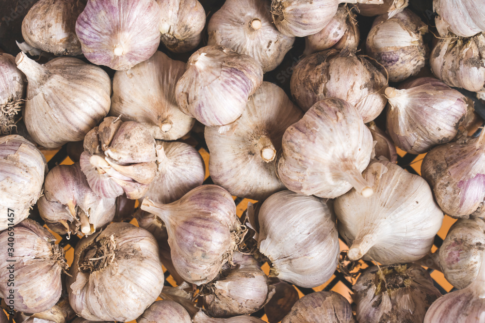 garlic heads close-up top view, background image of garlic heads garlic heads close-up top view, background image of garlic heads