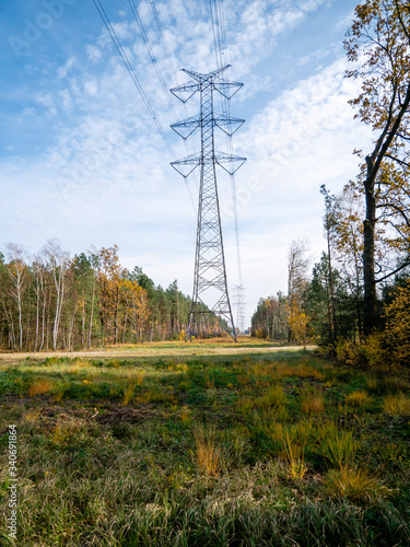 poles for high voltage electric cables in the autumn forest