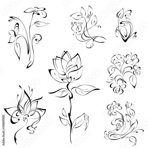 flowers 45. SET. stylized flowers on stems with leaves and curls in black lines on a white background. SET