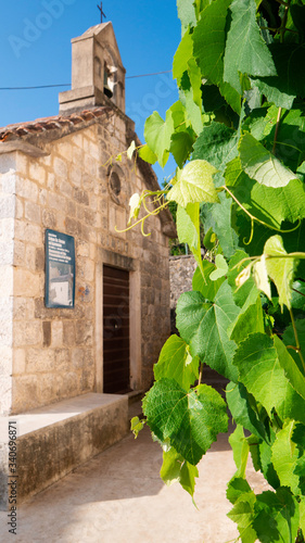 Church 'Gospe od Karmena' (Ladies of Carmen), Rose Village, Lustica peninsula, Kotor Bay, Montenegro, Europe photo