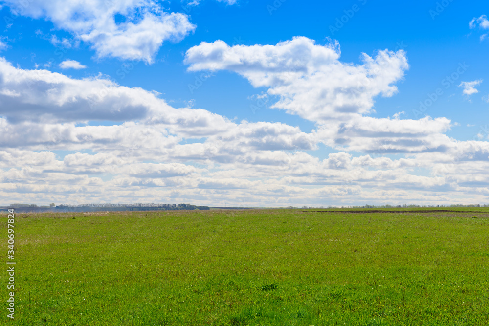 Summer landscape with green field and blue sky with clouds