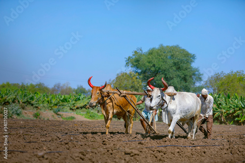 Fotografie young indian farmer plowing at field