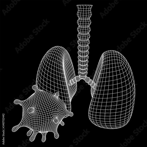 Corona Virus and Lungs with trachea bronchi internal organ human. Covid virus pulmonology medicine science concept. Wireframe low poly mesh vector illustration.