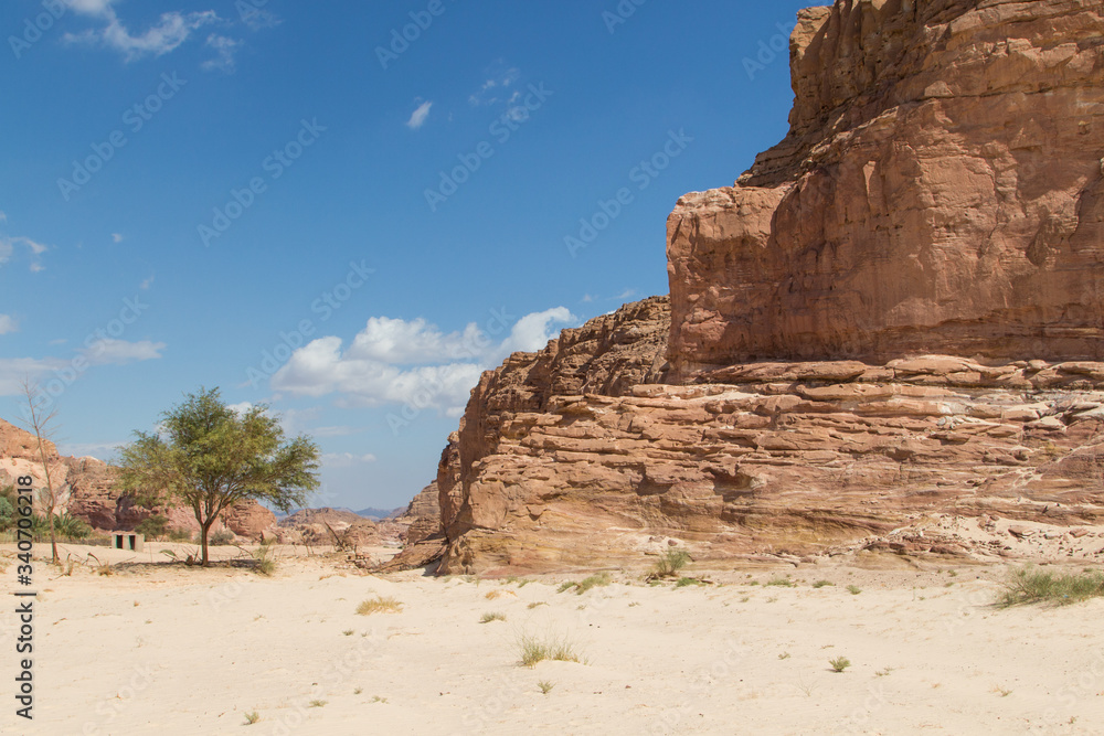 Fototapeta premium White canyon with yellow rocks. Egypt, desert, the Sinai Peninsula, Dahab.