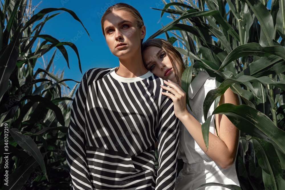 Portrait of two fair-haired girls in fashionable and stylish clothes, among the foliage of a corn field. Portrait of two fair-haired girls in fashionable and stylish clothes, among the foliage of a corn field.