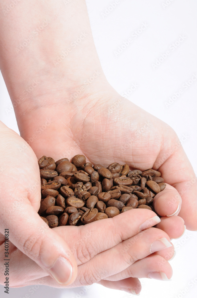 Two hands holding fresh roasted coffee beans with a white background. Dried coffee beans. Two hands holding fresh roasted coffee beans with a white background. Dried coffee beans.