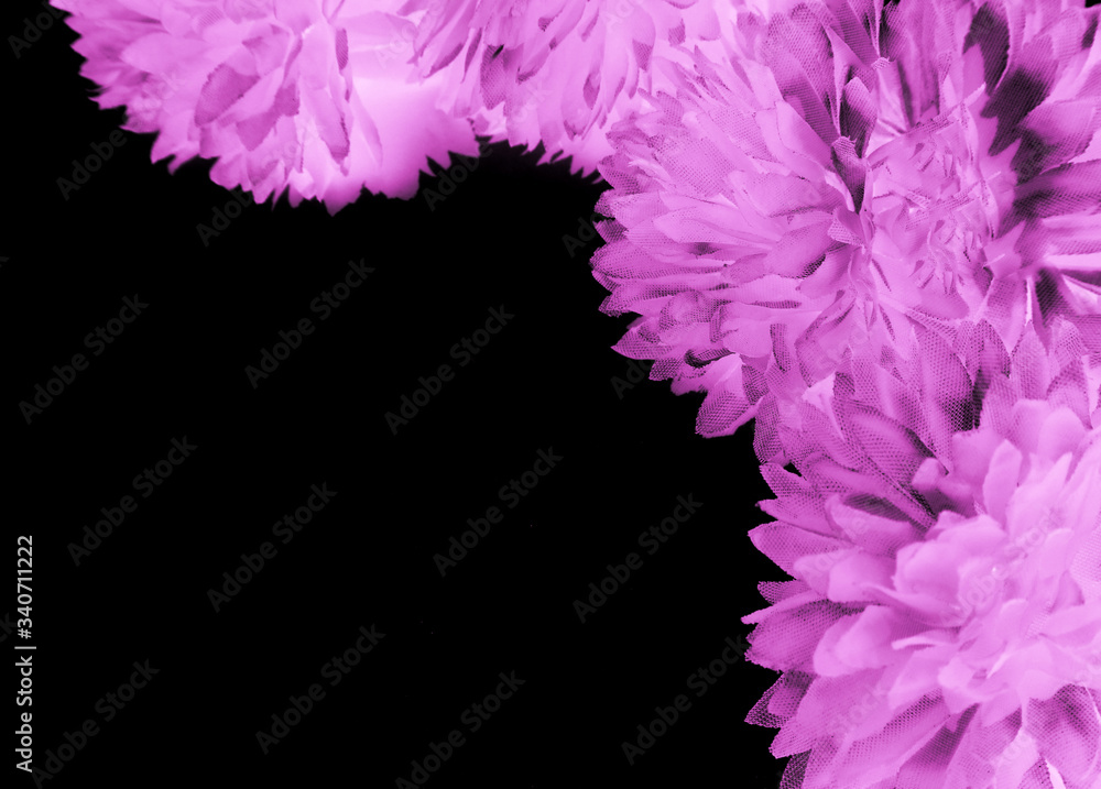 Beautiful abstract color blue and purple flowers on black background and pink graphic pink flower frame and pink leaves texture, purple background, colorful graphics banner Beautiful abstract color blue and purple flowers on black background and pink graphic pink flower frame and pink leaves texture, purple background, colorful graphics banner