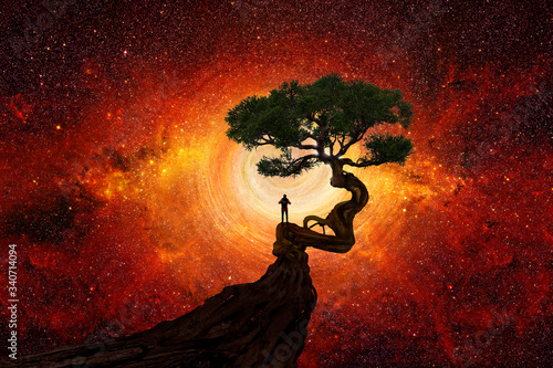 фотография Man under a tree in front of the universe