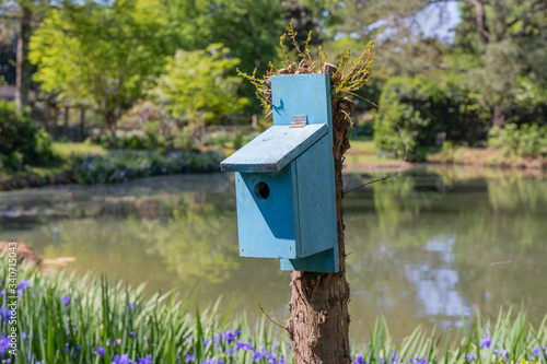 Robins egg blue painted birdhouse beside a pond, spring scenery, bluebird house, horizontal aspect