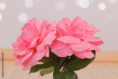 Pink rose flower with petal details. Flower on the white background.