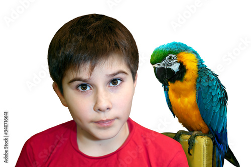 A dark-haired boy with brown eyes sits on a chair with his parrot Ara. The boy is carved on a white background.