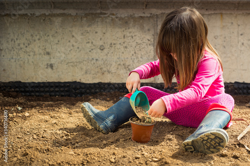 Little caucasian child girl, in her garden, planting a plant in a pot during covid-19 lockdown. Outdoor idea activity for children at home in pandemic restrictions. 