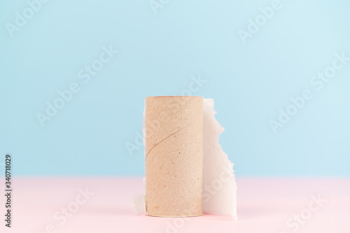 Conceptual image of finished toilet paper roll standing alone.