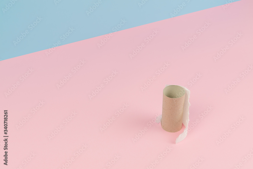 Conceptual image of finished toilet paper roll standing alone. Conceptual image of finished toilet paper roll standing alone.