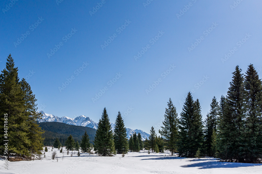 Winter landscape large open space in snow mountain range Alberta Canada.