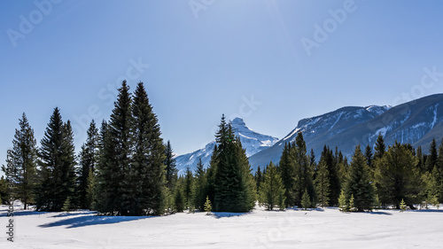 Winter landscape large open space in snow mountain range Alberta Canada.