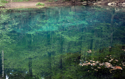 Reflections of the trees in blue lake in national park of Romania and a branch in the foreground. © Studio f20