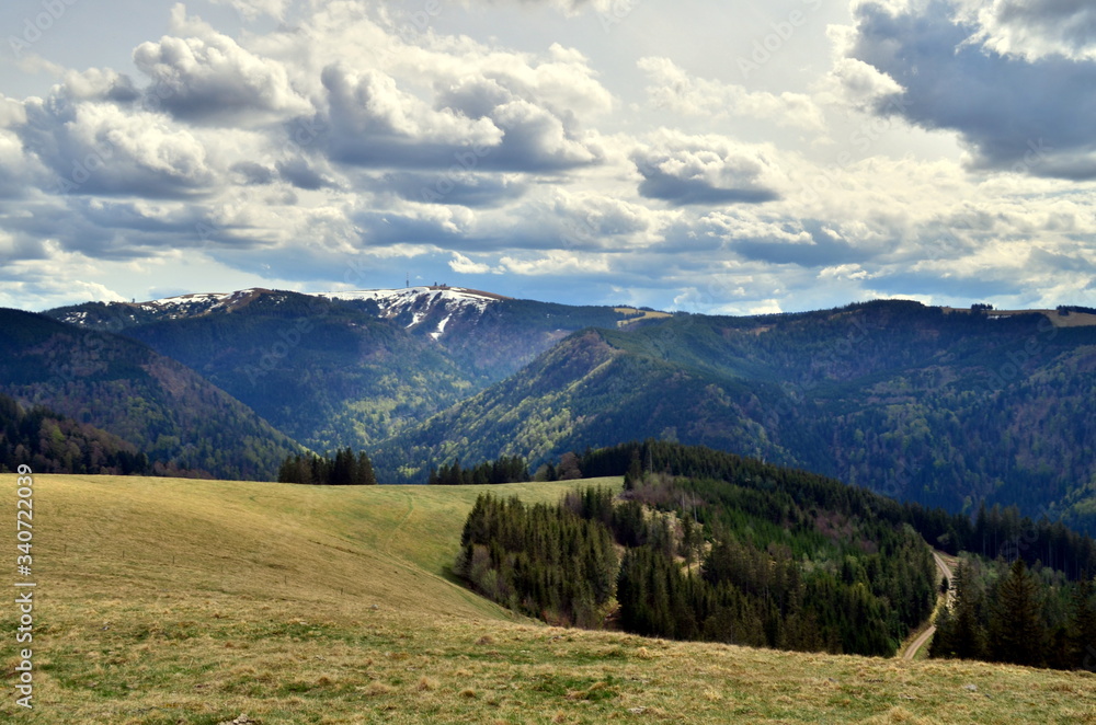 Blick vom Hinterwaldkopf Richtung Feldberg