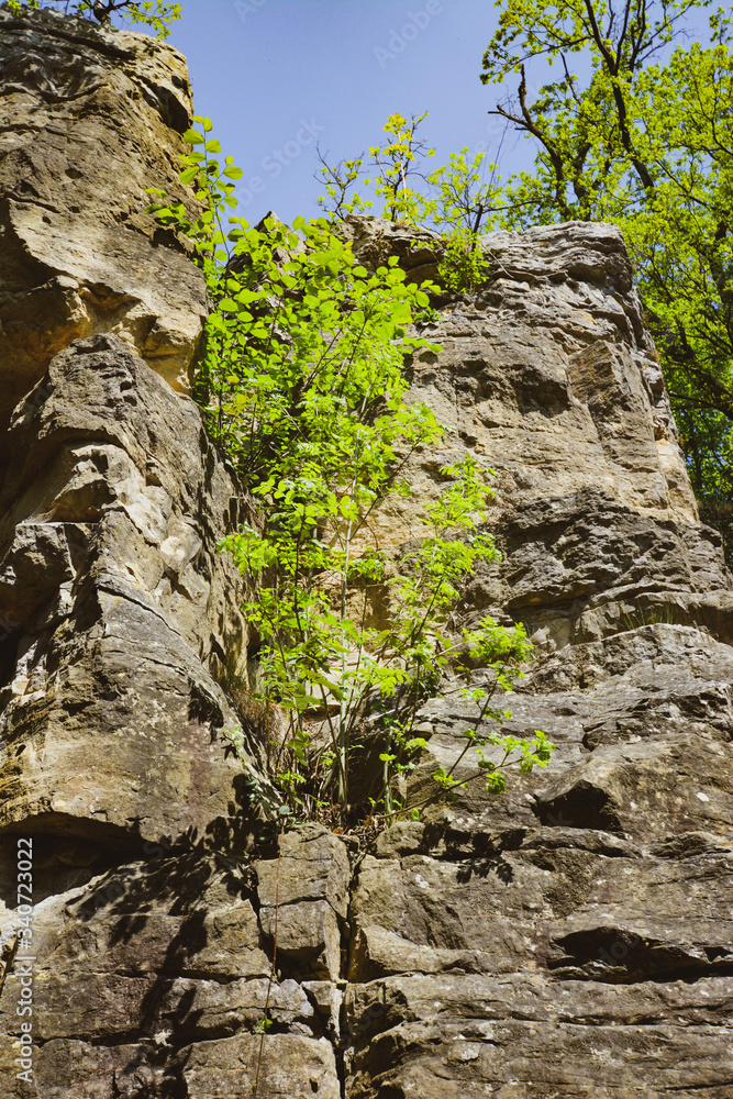 In the rocks - Felsengärten Hessigheim - South of Germany - behind the vignards In the rocks - Felsengärten Hessigheim - South of Germany - behind the vignards