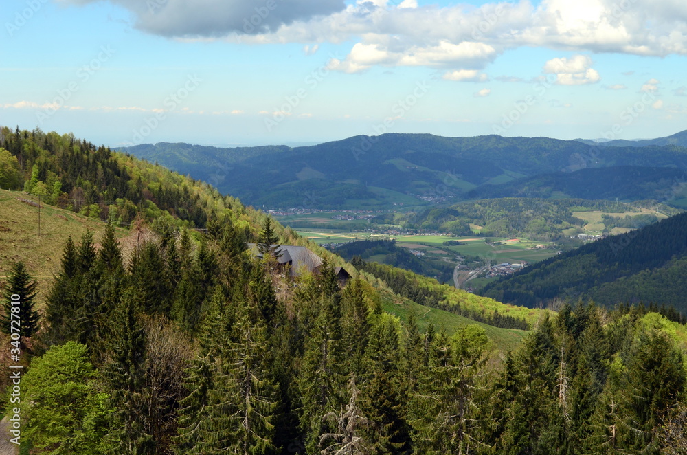 Blick vom Hinterwaldkopf auf den Schwarzwald im Frühling