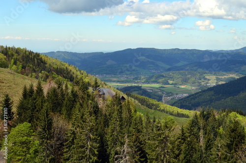 Blick vom Hinterwaldkopf auf den Schwarzwald im Frühling