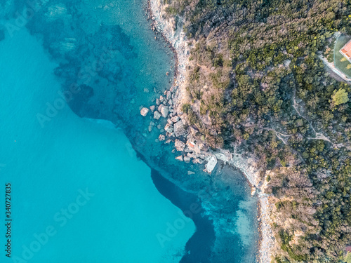 Il viticcio all'isola d'elba