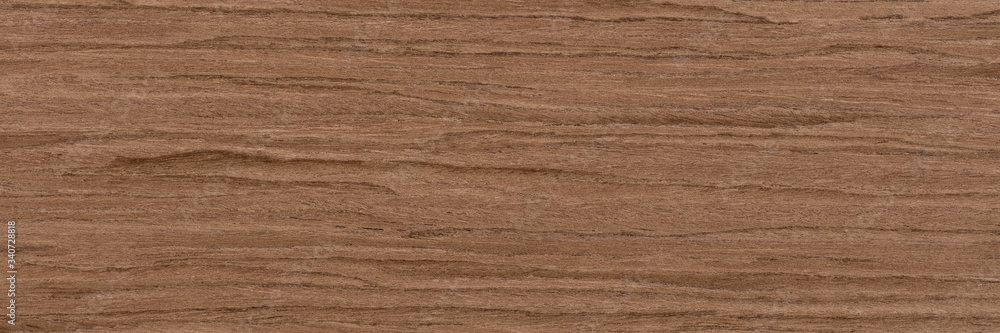 Attractive nut veneer background in grey color. Natural wood texture, pattern of a long veneer sheet, plank. Attractive nut veneer background in grey color. Natural wood texture, pattern of a long veneer sheet, plank.
