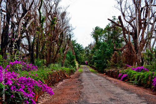 side road