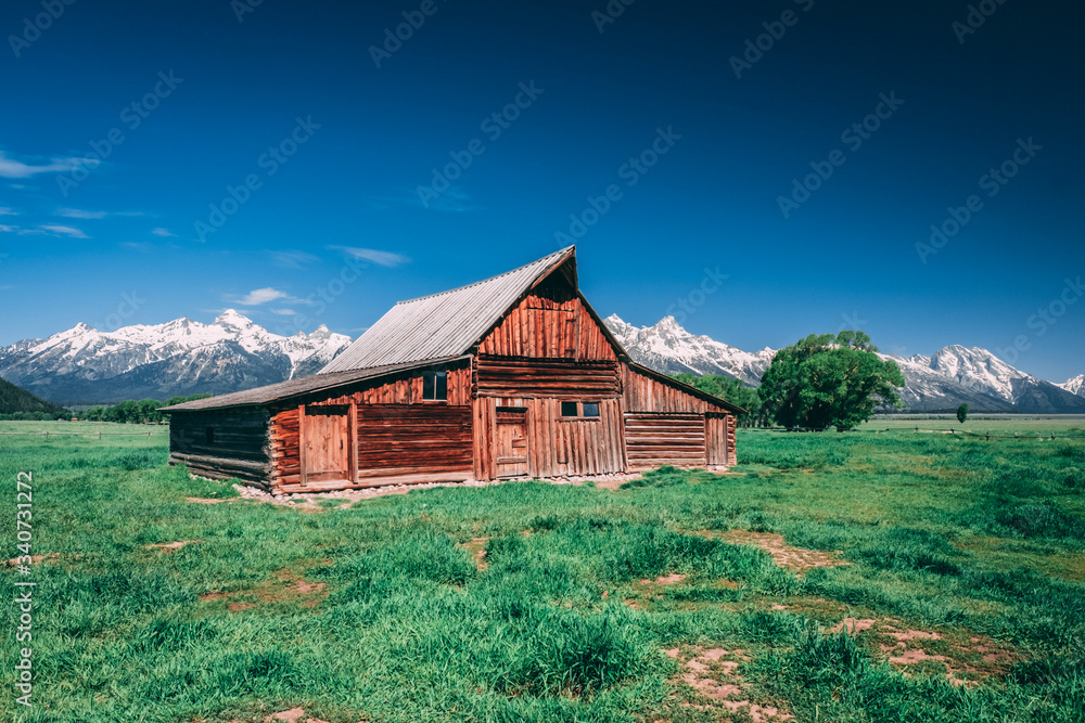 Fototapeta premium Mormon Row