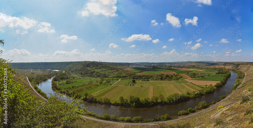 Vineyard overlooking the river Neckar, Landscape of Hessigheim, Germany - Panorama