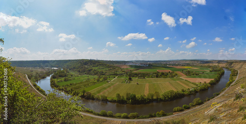 Vineyard overlooking the river Neckar, Landscape of Hessigheim, Germany - Panorama