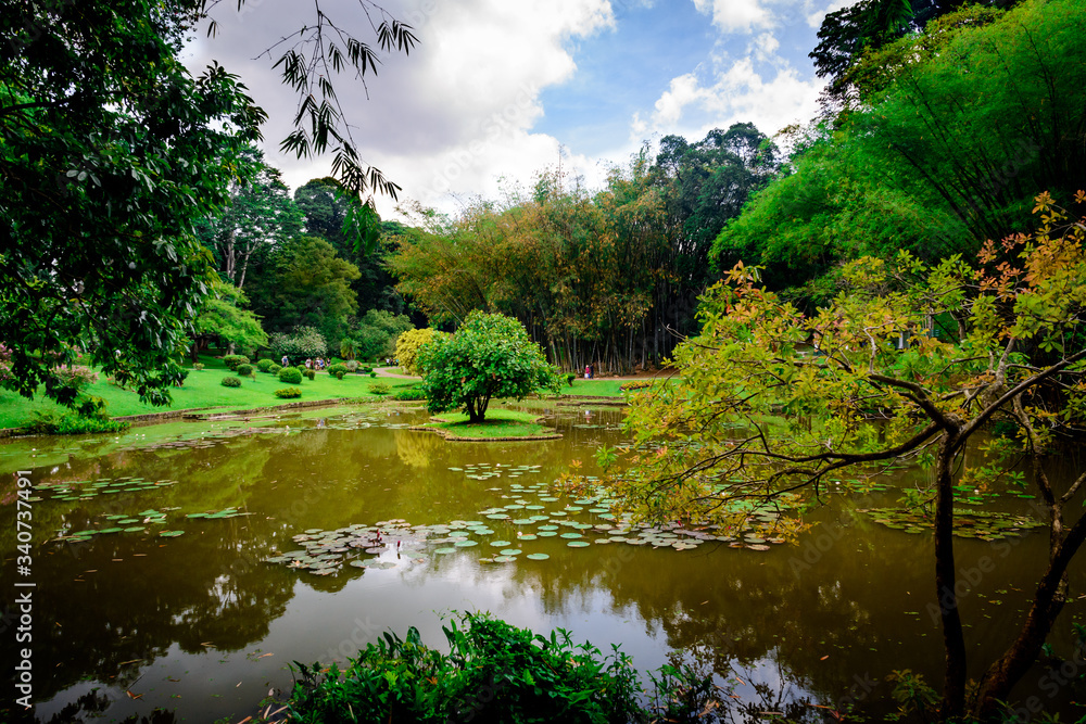 Royal Botanical Gardens, Peradeniya, Kandy, Sri Lanka