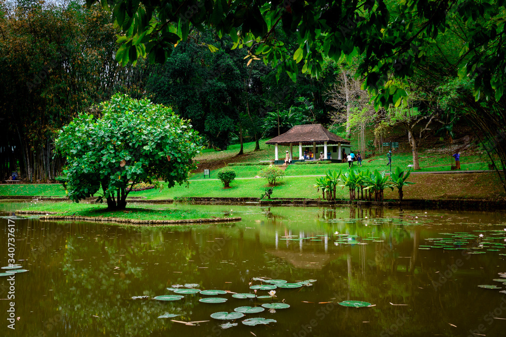 Royal Botanical Gardens, Peradeniya, Kandy, Sri Lanka