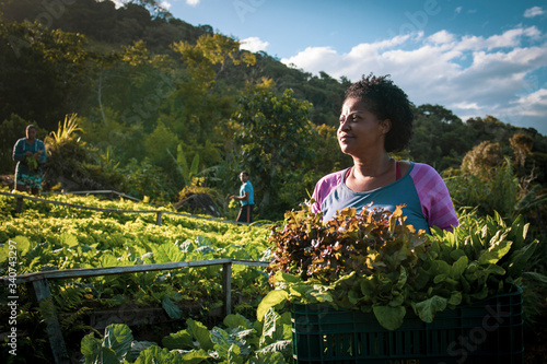 Portrait of proud organic farmer woman from a quilombola community harvesting vegetables.