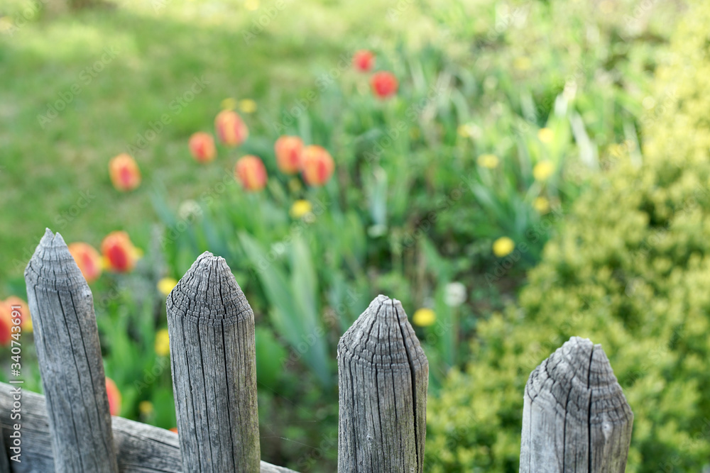 Garten mit Blumen und einem Zaun aus Holz