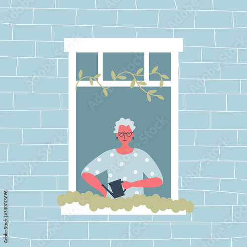 Elderly woman is watering flowers on a windowsill. The old woman at the open window. View from the street side. Funky flat style. Vector illustration