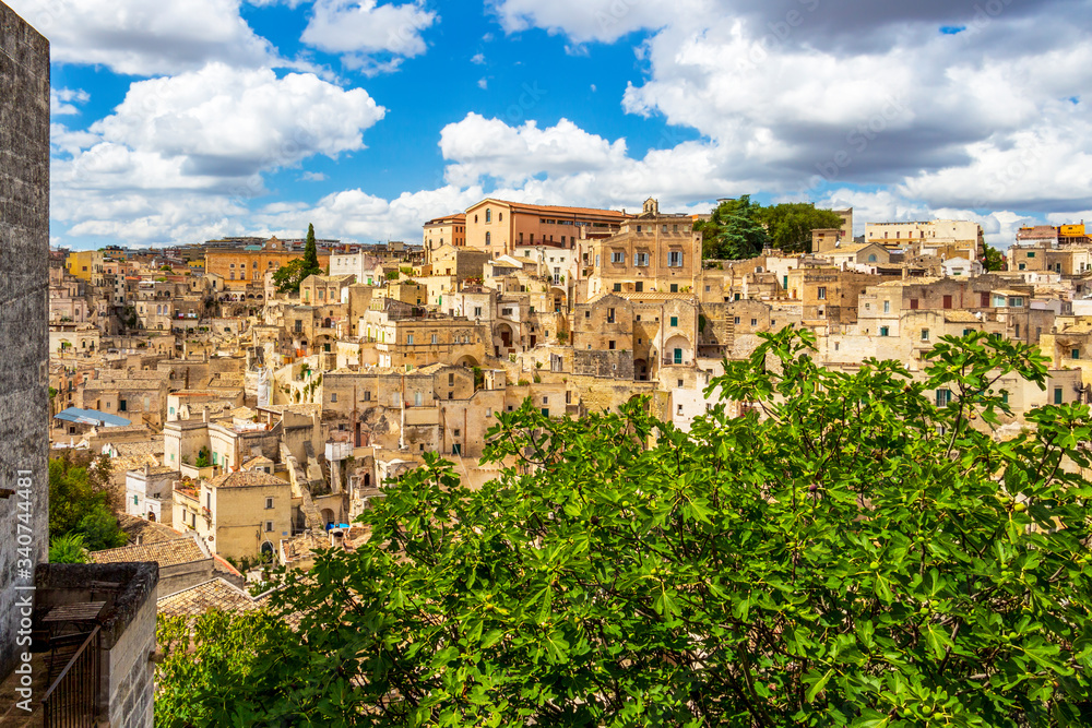 Scenic panoramic sunny view of Matera, Province of Matera, Basilicata Region, Italy behind a fig tree under beautiful cloudy summer sky