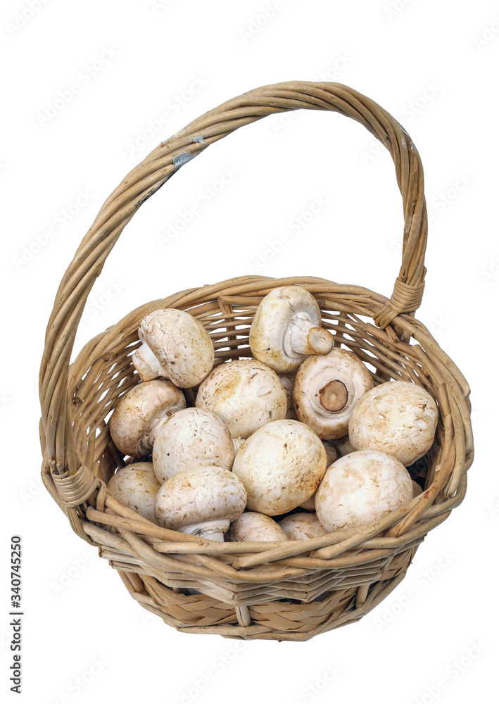 White mushrooms in the basket