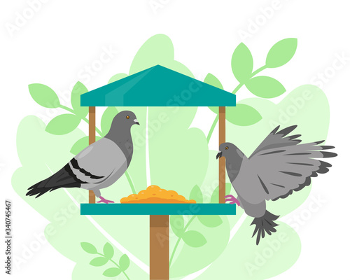 Doves on the bird feeder.