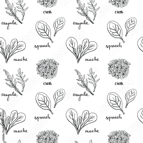 Seamless pattern with herbs and salad leaves: spinach, mache, cress, arugula/ Hand drawn black and white background/ Vector illustration