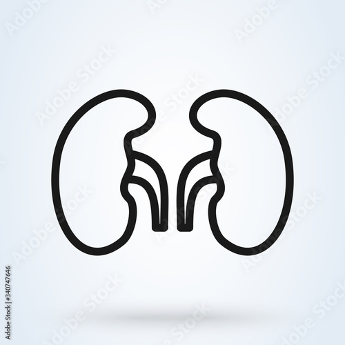 Simple kidneys line icon. Human urinary bladder system. Vector illustration