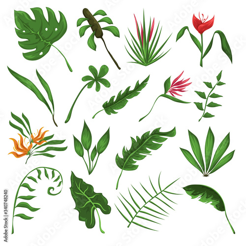 Jungle leaves and flowers 