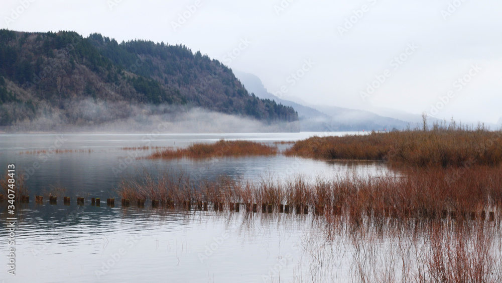 Mists outside of Portland, OR