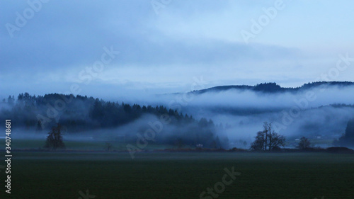 Mists in Oregon's Countryside