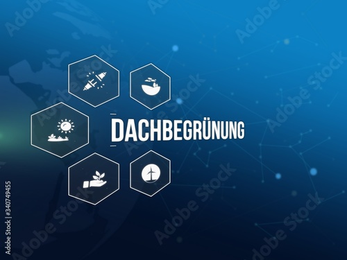 Dachbegr�nung