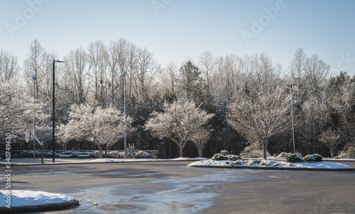 Empty parking lot surrounded with trees covered with snow