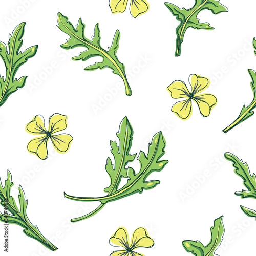 Seamless pattern with rocket salad leaves and flowers/ Hand drawn colorful background/ Vector illustration